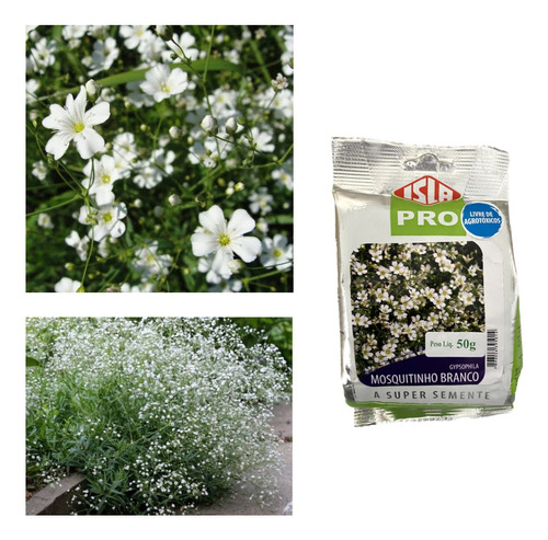 Gypsophila Elegans Mosquitinho Branco - 50grs De Sementes