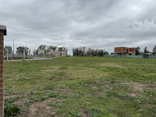 Lote Perimetral Bueno #200-300 - Pilar Del Este - Santa Elisa - 476m2 #id 18985