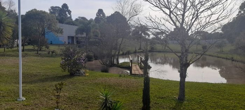 Imagem 27 de 29 de Fazenda À Venda Na Francisco Schena, Roseira, Campina Grande Do Sul - Pr - Liv-17183