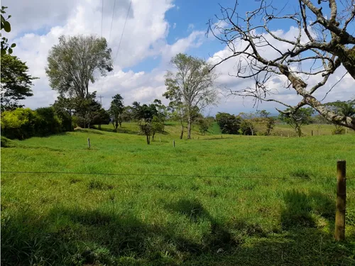Venta Finca Sector La Pola - 7 Cuadras