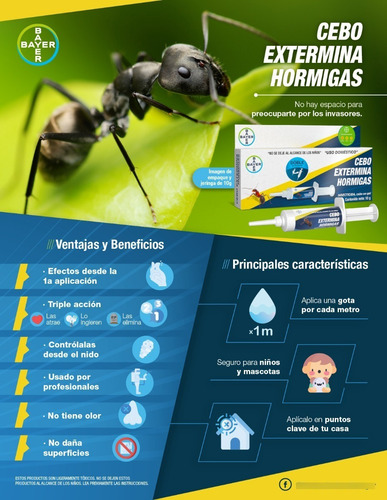Imagen 4 de 9 de Cebo Extermina Hormigas Bayer