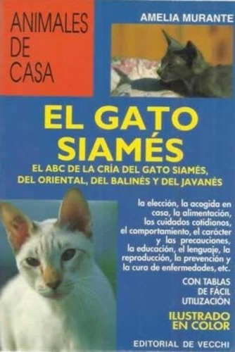 El Gato Siames - Animales De Casa