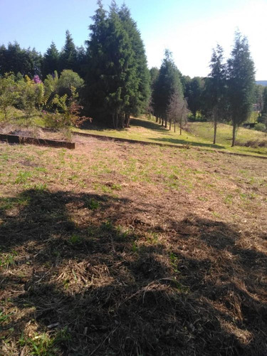 Imagem 11 de 13 de Excelente Oportunidade De Negócios Chácara Com 10.600m² De Terreno E 02 Casas - Bairro Ibiúna De Cima - Ibiúna/sp - Ch684v