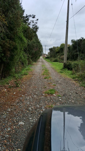 Parcelas Planas A 30 Minutos De Valdivia