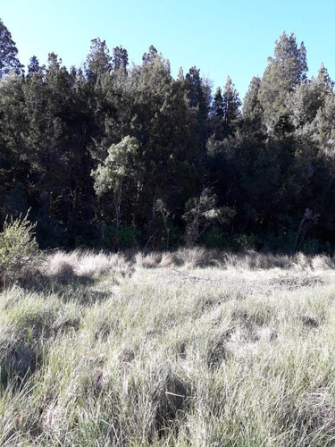 Venta Lote En Ph Av Pioneros Km 6800 B° P. Festa. Bariloche