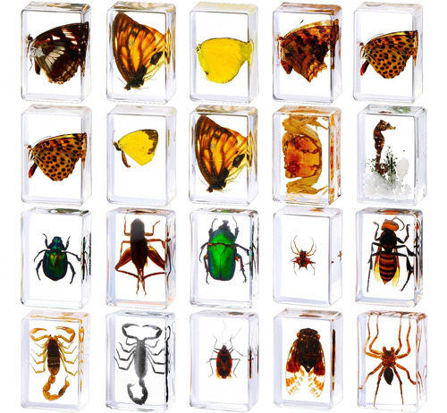 20 Piezas De Insectos Resina, Especímenes Conservados ...