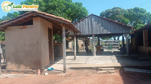Imagem 15 de 15 de Fazenda Á Venda No Formoso Do Araguaia - To - 1.327,2 Hec., (dupla Ptidão) - 2263