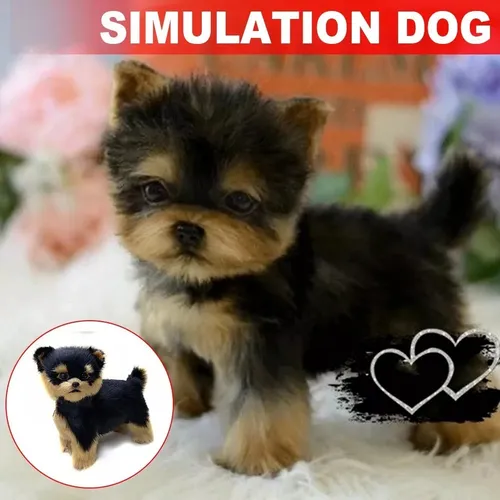 So Juguete De Peluche Para Perros Yorkshire, Simulador,