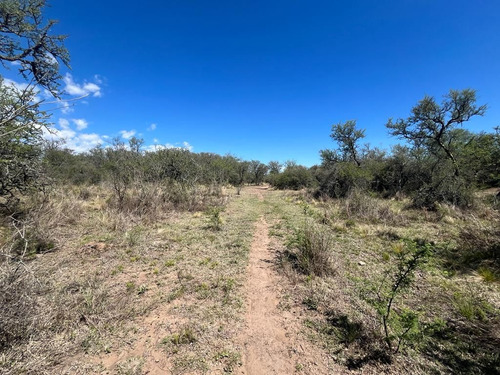 Venta Campo Villa Quillinzo (40 Hectareas) Ideal Para Loteo