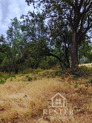 Venta Parcela 5018 M2. Condominio El Belloto Hacienda Paine