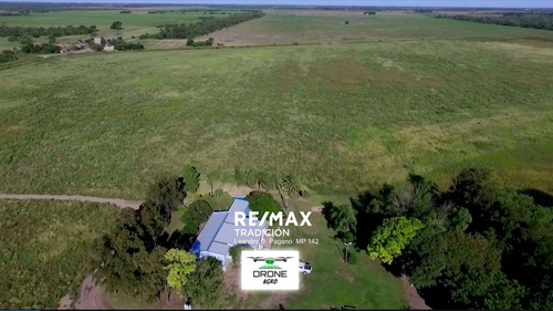 Campo En Venta 77has Colonia José Mármol