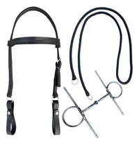Comprar Kit Cabeçada + Rédea + Freio Pra Montaria Cavalo Sela Arreio