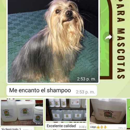 Imagen 4 de 8 de Shampoo Ph Neutro Orgánico Para Mascotas