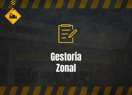 Minicargadora Zoomlion Zs080v