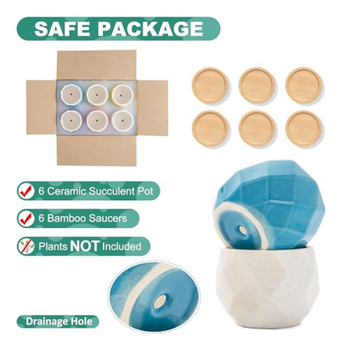 Conjunto De 6 Macetas Pequeñas Para Suculentas - Mini Maceta