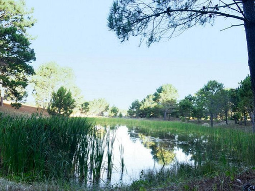 Northbeach Lotes En Pinamar Venta