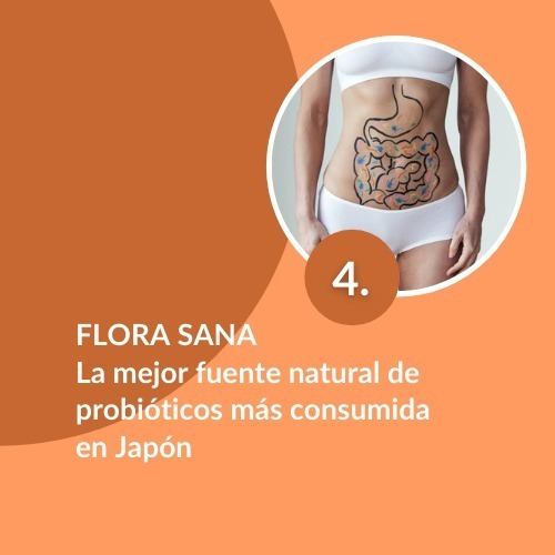 Suplemento FUJIRO JAPAN Suplementos Alimenticios Probióticos NATTO - cápsula