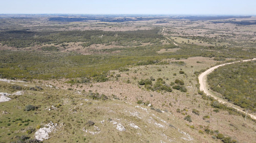 Campo En Rocha De 137ha (ref: Atm-6803)