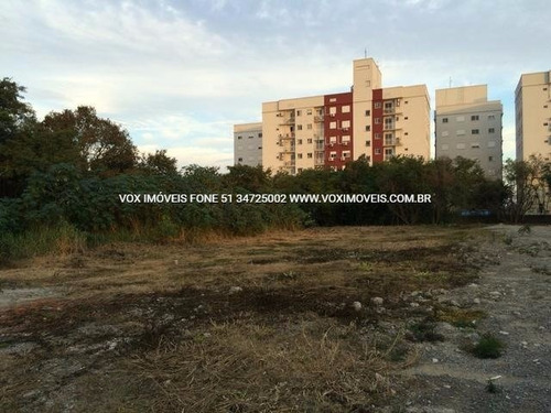Imagem 5 de 15 de Terreno - Fatima - Ref: 46489 - V-46489