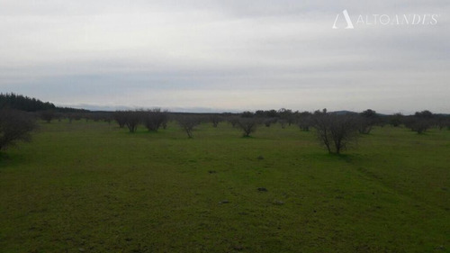 Sitio En Venta En San Javier