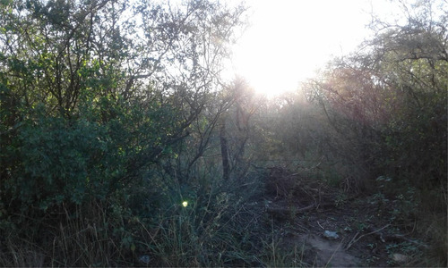 Imagen 3 de 3 de Lote 8477 M2 La Ramada Córdoba - Financiados