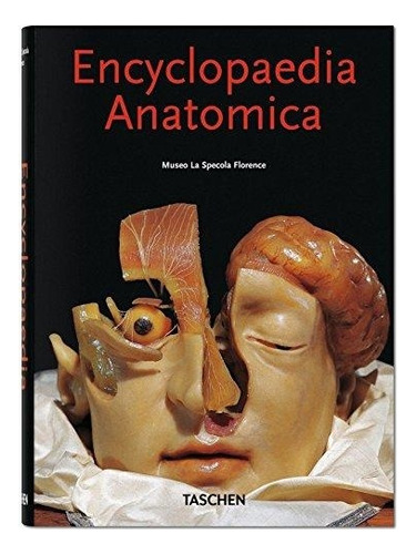 Encyclopaedia Anatómica - Museo La Specola Florence