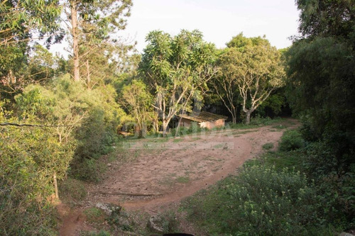 Imagem 10 de 15 de Terreno - Aberta Dos Morros - Ref: 157981 - V-157981