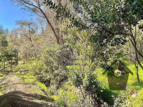 Lo Castro, Quebrada De Alvarado, Olmue. 5.000m2