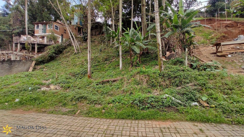 Imagem 15 de 18 de Terreno - Pq0119 - 70075542