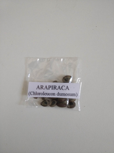 20 Sementes De Arapiraca (piptadenia Piteolobim)