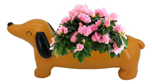 S Macetas Para Plantas S Maceta Para Perro Lindos Maceteros
