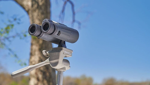 Binoculares Bushnell 16x 32mm Powerview Roof Prism Negro