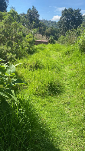 Terreno 100m2 San Francisco Chimalpa