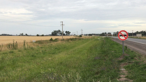 Imagen 7 de 12 de Vendo Chacra Para Loteo Sobre Ruta 205 En Saladillo!!