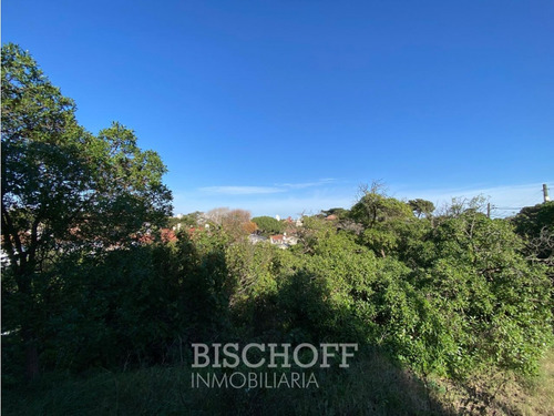 Venta De Lote En Ostende Calle Moreno