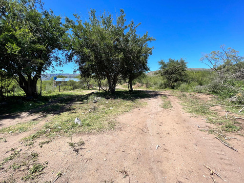 Tres Hectareas En San Francisco Del Monte De Oro.
