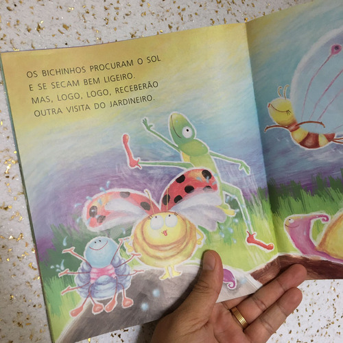 Livro A Chuvarada - Isabella E Angiolina - Usado (Usado)