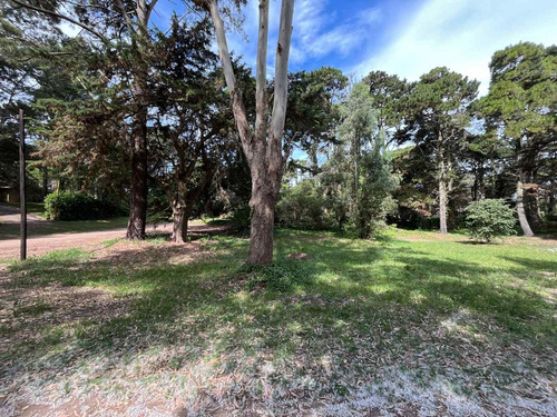 Venta Lote En Valeria Del Mar