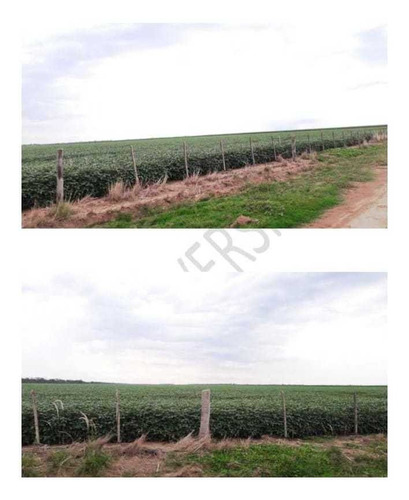 Imagen 6 de 7 de Campo Agricola 680ha Añatuya Santiago Del Estero