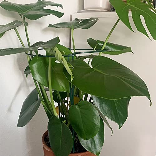 Soporte Plantas Jardín 10pk 10pulgwx16pulgh Resistente