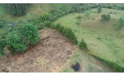 Lote Independiente Rionegro Vereda Ojo De Agua