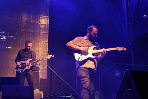 Profesor De Guitarra - Clases : Presenciales / Online