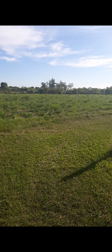 Vendo Terrenos En Colonia Benitez