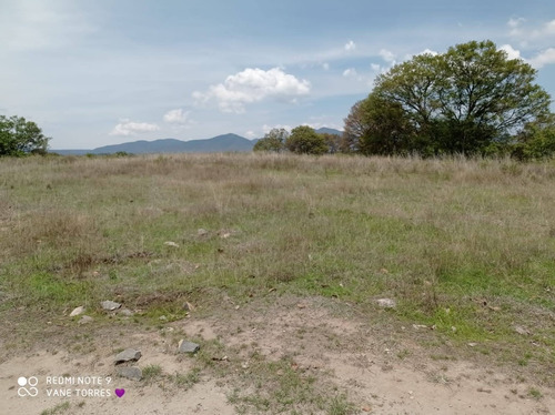Imagen 7 de 12 de Venta De Terreno En El Palomar, Villa Del Carbón
