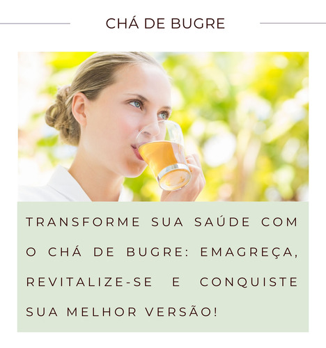 Kit 20 Chás Bugre Legítimo Casearia Sylvestris