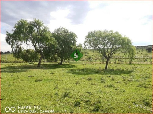 Imagen 3 de 7 de Venta De Chacra En Montevideo, 3,5 Hectareas En Melilla