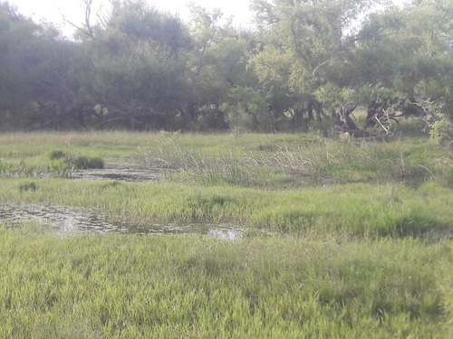 Imagen 17 de 19 de 1086- Venta Campo 136 Hectareas En Estacion Solis Minas Lavalleja