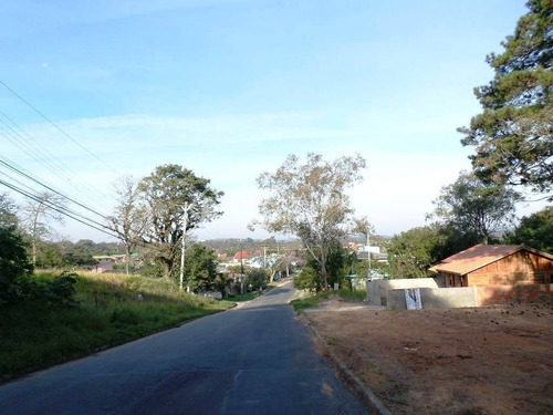 Imagem 3 de 5 de Terreno - Belem Novo - Ref: 278044 - V-278044