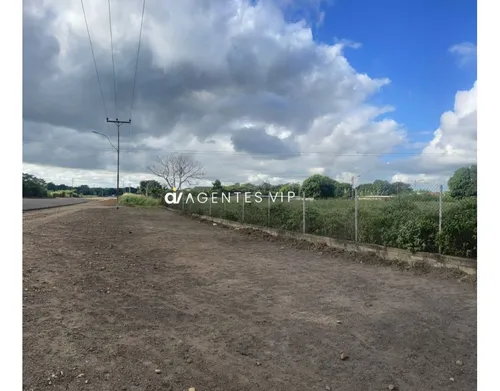 Punta De Mata, Estado Monagas