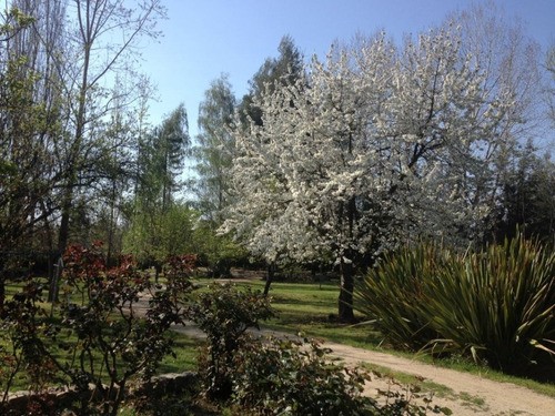 Centro De Eventos En Sector El Principal Pirque